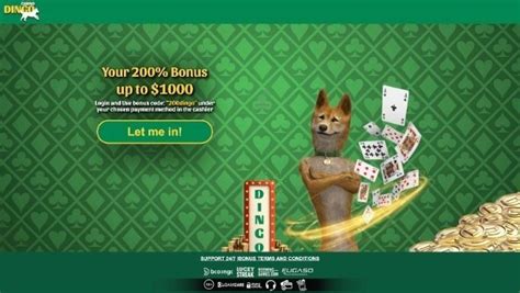 dingo casino bonus code,Casino Dingo Bonus Codes 